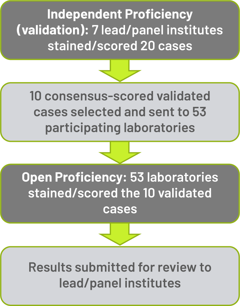LABS, INDEPENDENT PROFICIENCY TEST and OPEN PROFICIENCY TEST